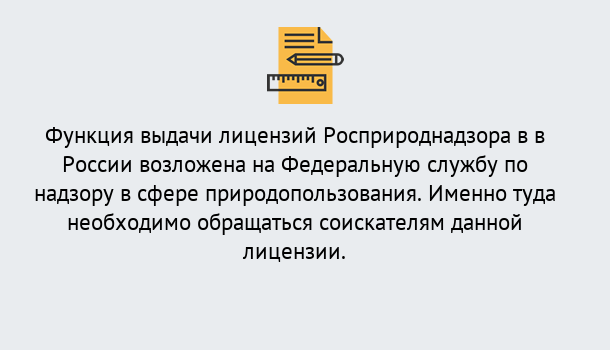 Почему нужно обратиться к нам? Тихвин Лицензия Росприроднадзора. Под ключ! в Тихвин