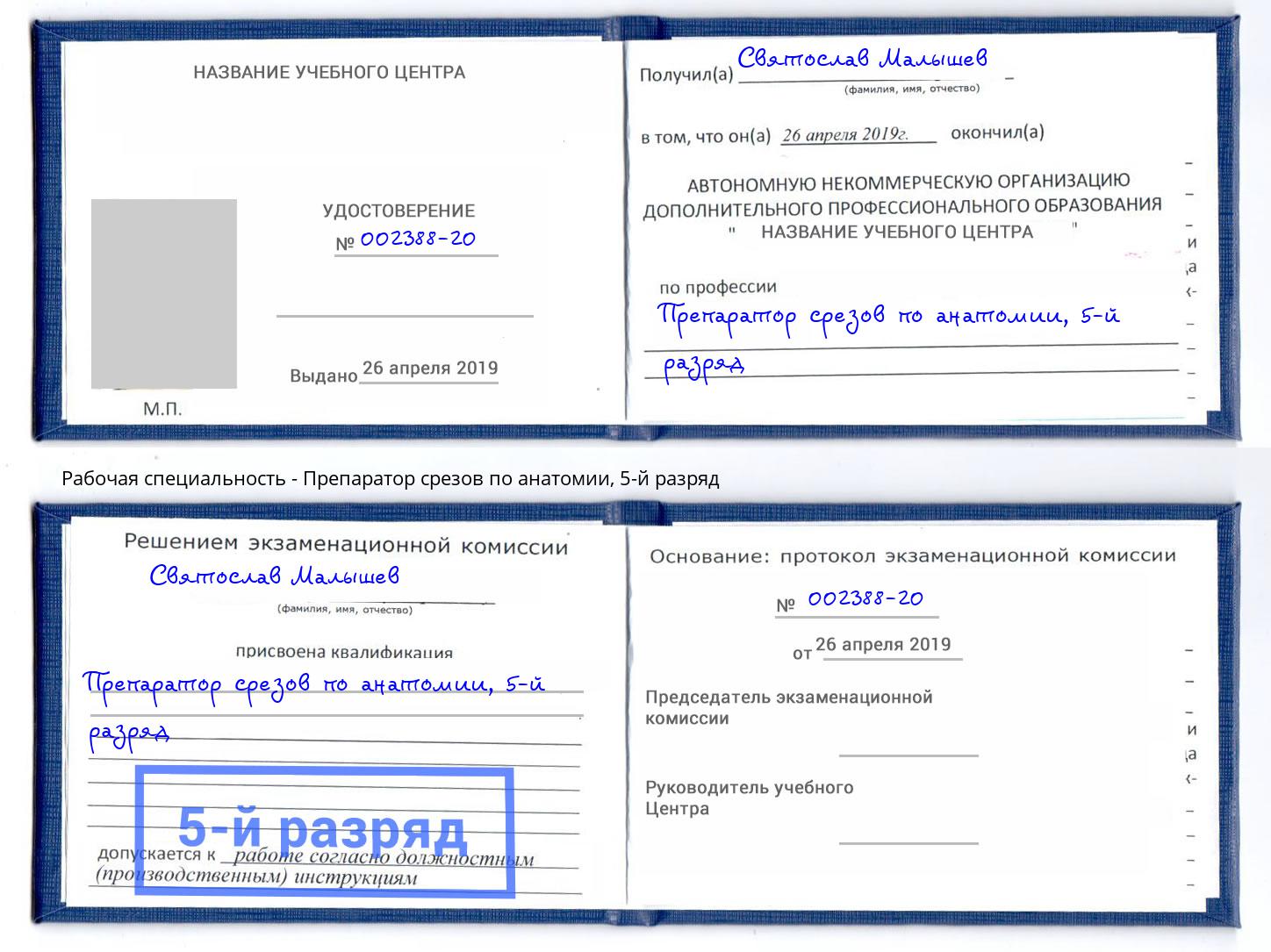 корочка 5-й разряд Препаратор срезов по анатомии Тихвин